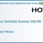 Офисная линза для очков Hoya Hoyalux WorkStyle Business 200/400 1.6 Hi-Vision Meiryo, рецептурная, Sph 8.00 — -10.00, Cyl 0.00 — 6.00