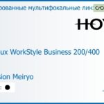 Тонированная мультифокальная линза для очков Hoya Hoyalux WorkStyle Business 200/400 1.6 Color Hi-Vision Meiryo, рецептурная, Sph 8.00 — -10.00, Cyl 0.00 — 6.00